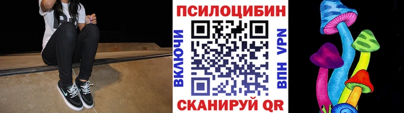 KRAKEN онион  Городец  Псилоцибиновые грибы прущие грибы 